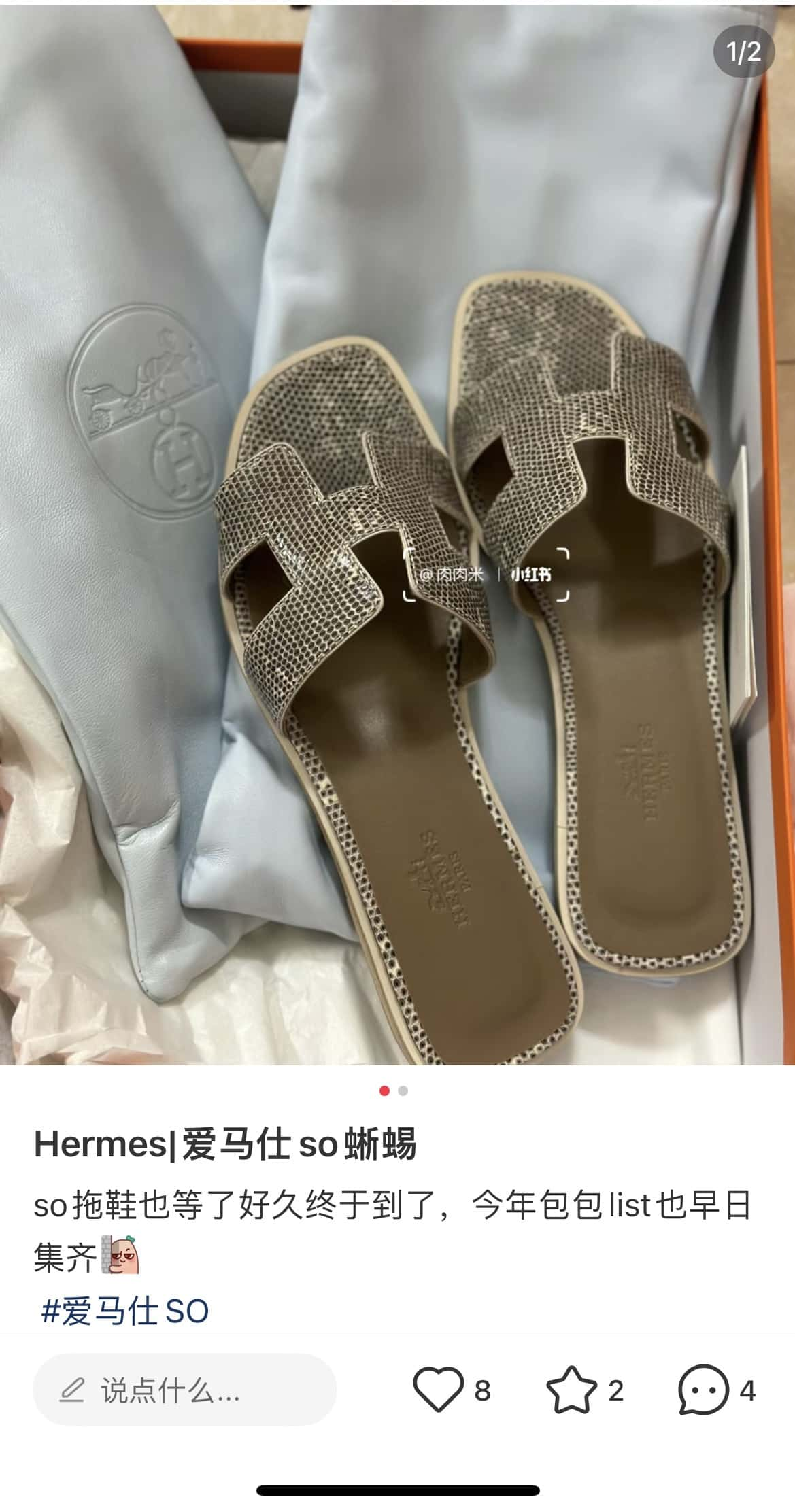 Hermès lizard leather slippers